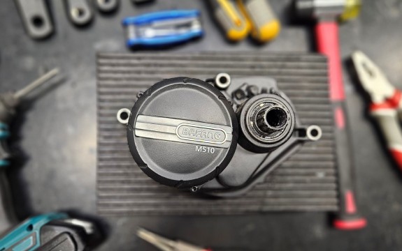 How Bafang Turns Training into Real Service Capability